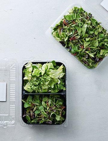 [Clean Eating] 친환경 어린잎 샐러드 2종