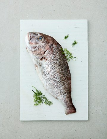 [이호] 국산 자연산 참돔 700~800g (생물)