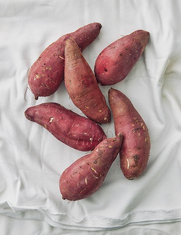 영암 햇 꿀 밤고구마 1.5kg (25년 햇)