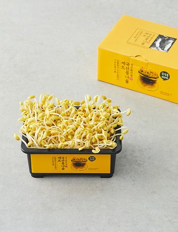 [김구원선생] 국산 콩나물 키우기 세트