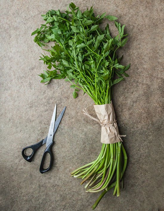 상품-대표-이미지 1