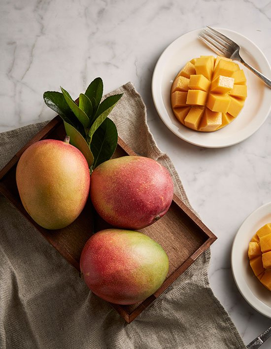 상품-대표-이미지 1