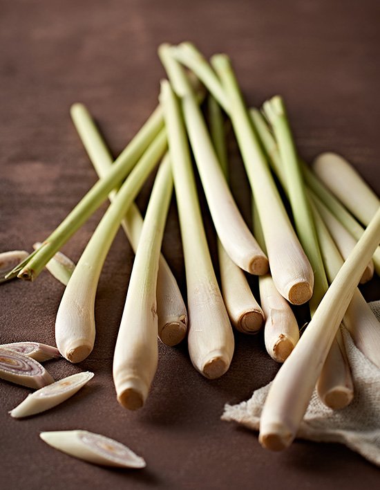 상품-대표-이미지 1