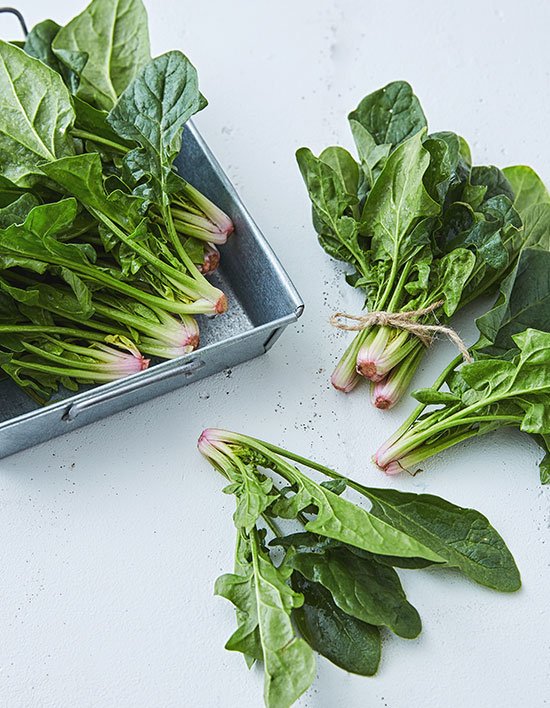 상품-대표-이미지 1