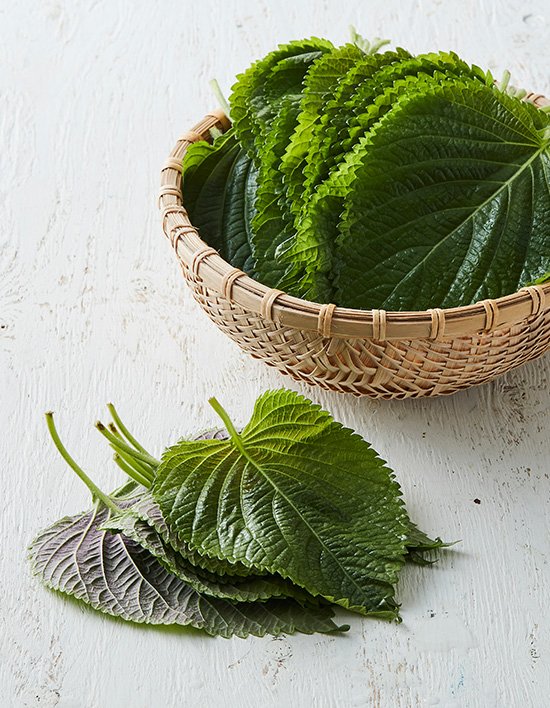 상품-대표-이미지 1