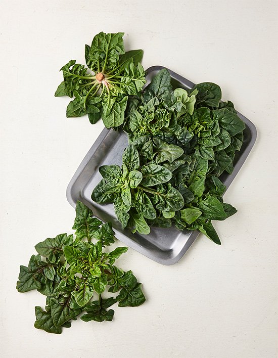 상품-대표-이미지 1