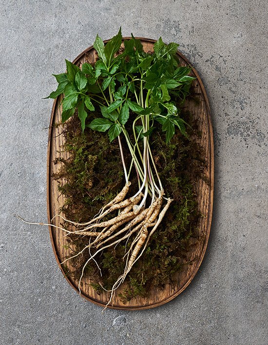 상품-대표-이미지 1