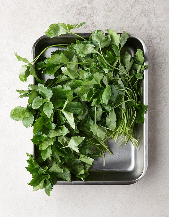 상품-대표-이미지 1