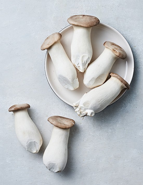 상품-대표-이미지 1