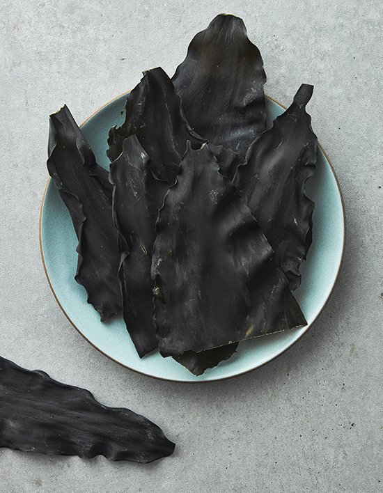 상품-대표-이미지 1