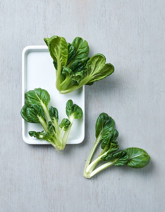 상품-대표-이미지 1