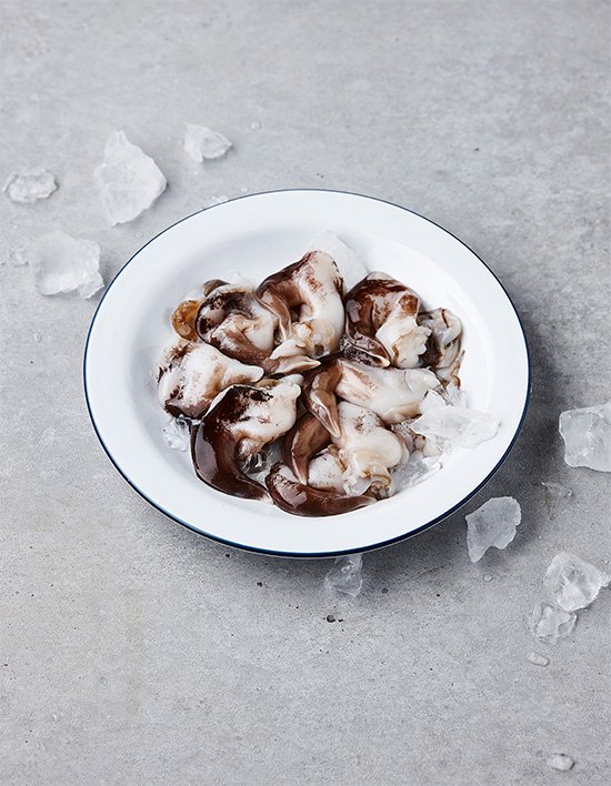 상품-대표-이미지 1