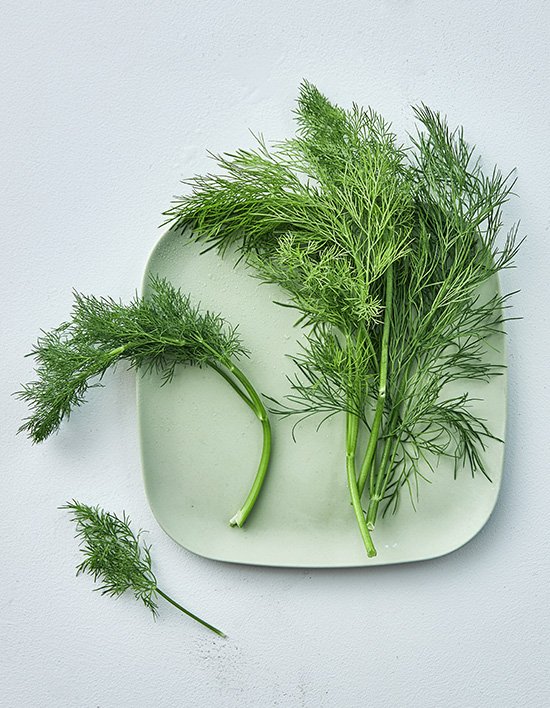 상품-대표-이미지 1