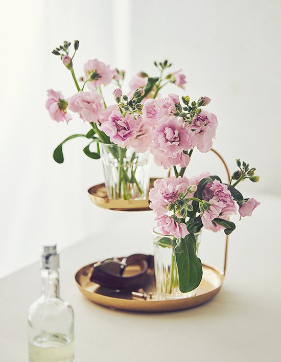 상품-대표-이미지 1