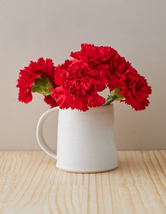 [농부의 꽃] 클래식 카네이션 2종