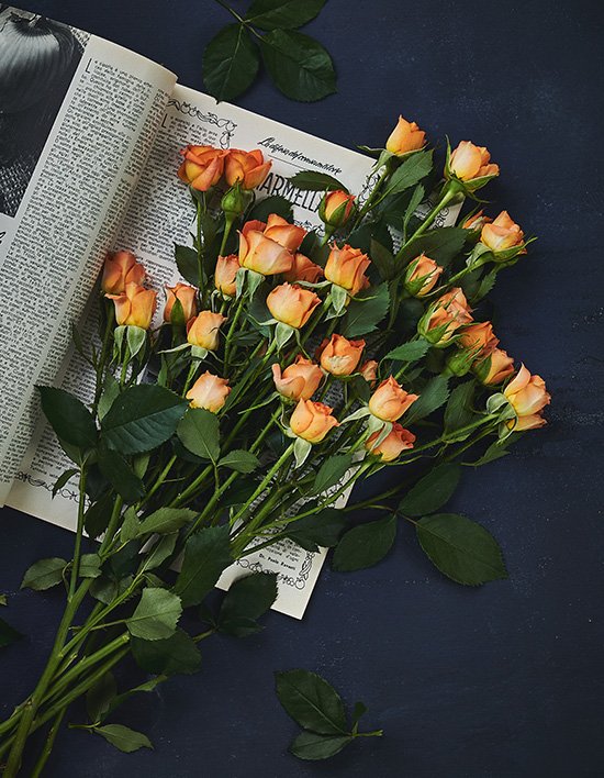 상품-대표-이미지 1