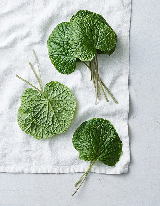 상품-대표-이미지 1