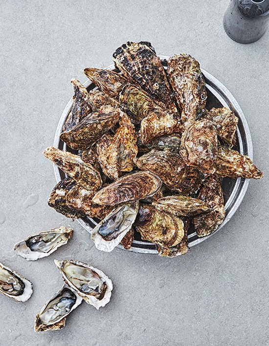 상품-대표-이미지 1