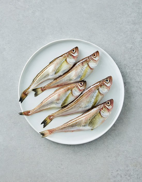 상품-대표-이미지 1