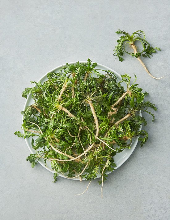 상품-대표-이미지 1