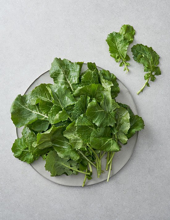 상품-대표-이미지 1