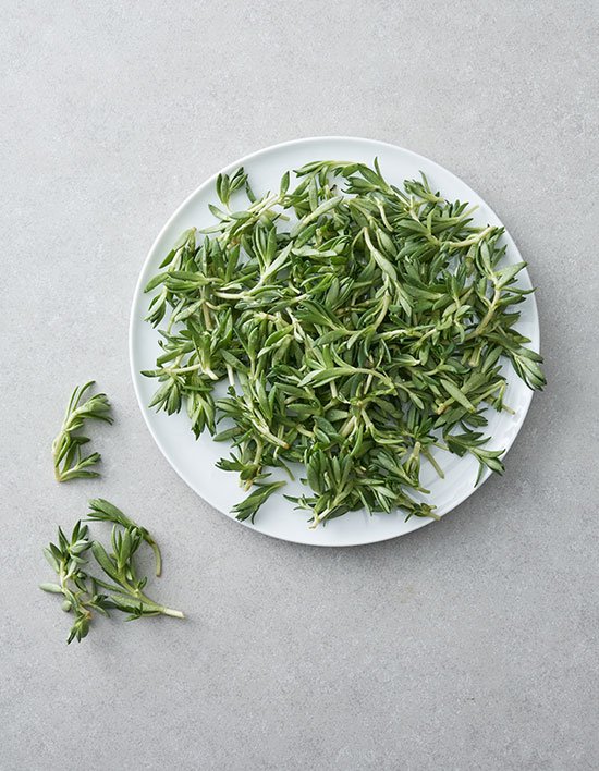 상품-대표-이미지 1