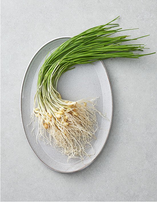 상품-대표-이미지 1