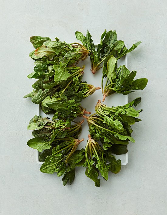 상품-대표-이미지 1