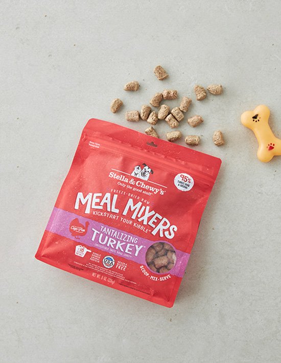 상품-대표-이미지 1