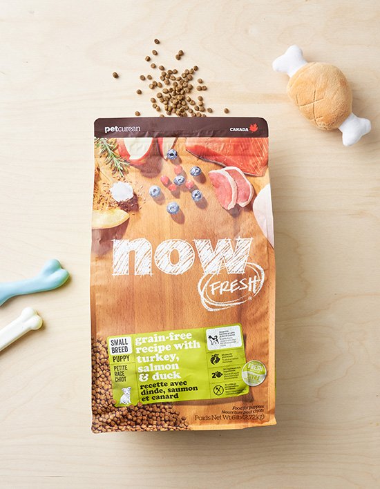 [NOW] DOG 그레인프리 스몰브리드 퍼피 2.72kg