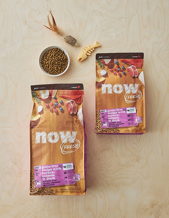 상품-대표-이미지 1