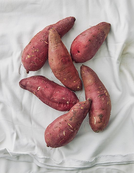 영암 햇 꿀 밤고구마 1.5kg (25년 햇)