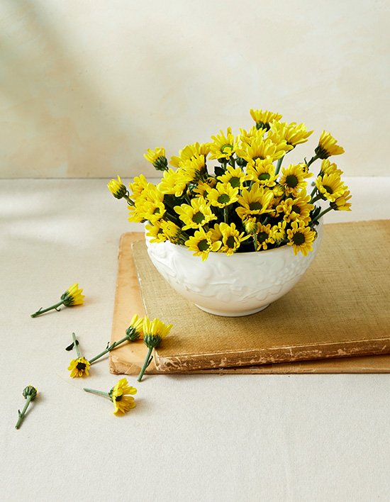 상품-대표-이미지 1