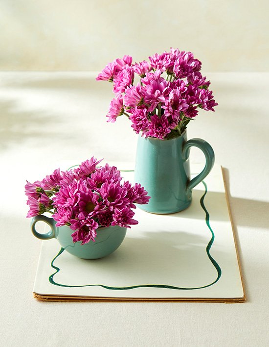 [농부의 꽃] 예스루비 소국 5대