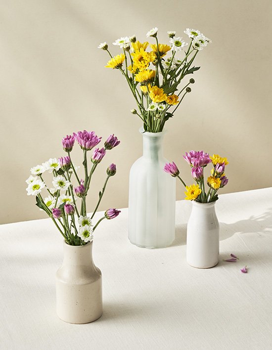 [농부의 꽃] 소국 시즌 믹스