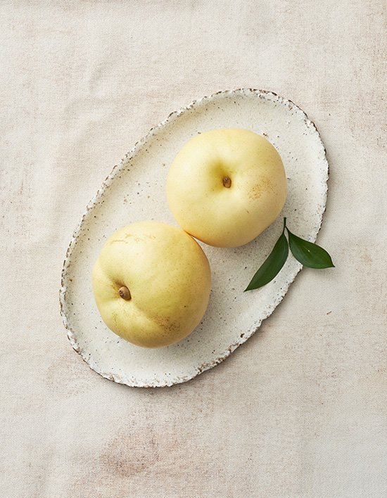 상품-대표-이미지 1