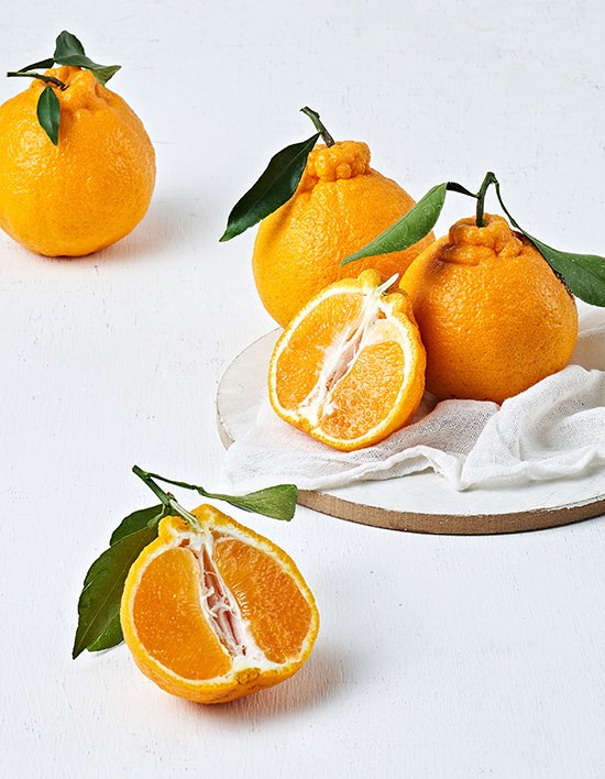 상품-대표-이미지 1