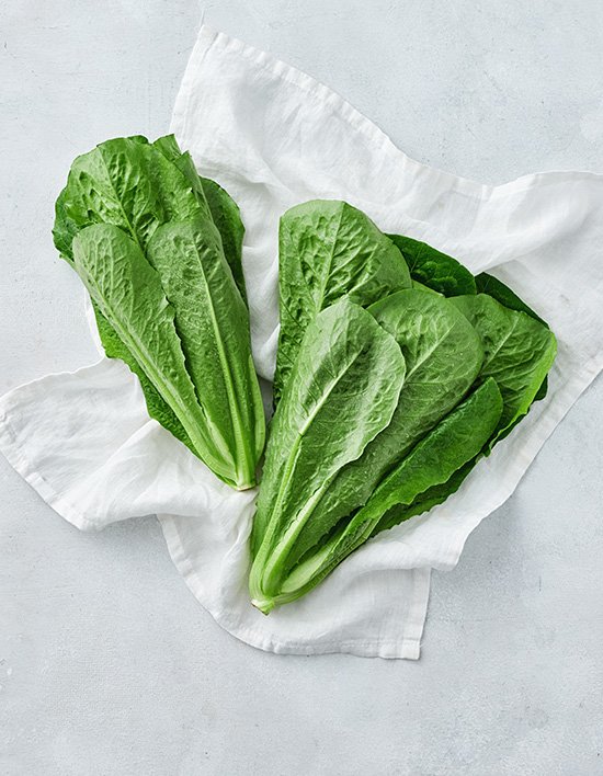 상품-대표-이미지 1