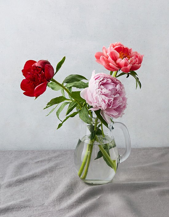 [농부의 꽃] 작약 믹스 3송이