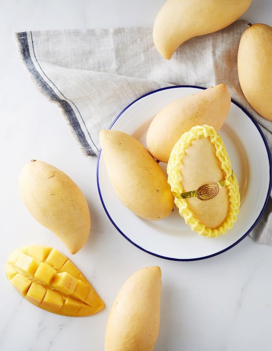 상품-대표-이미지 1