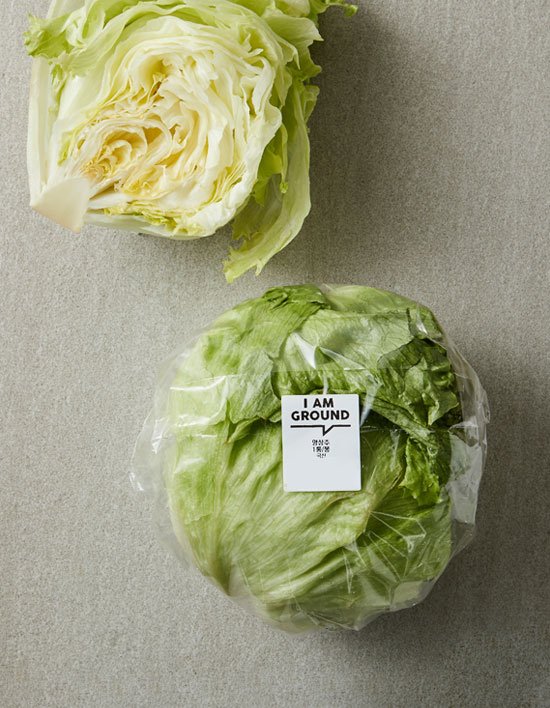 양상추 1입(200g)