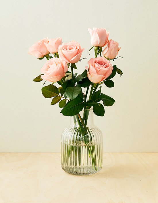 [농부의 꽃] 사이다 장미 7송이