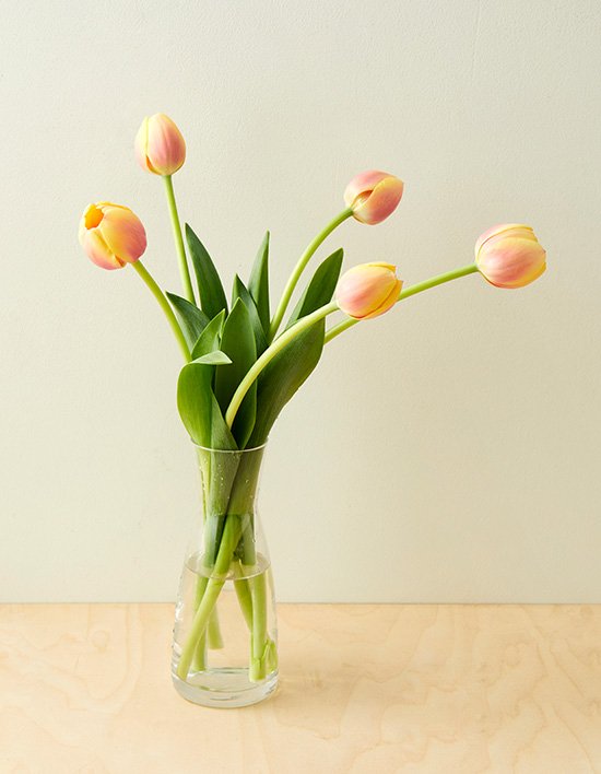 상품-대표-이미지 1