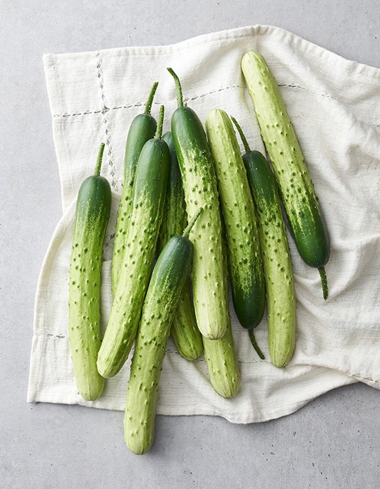 상품-대표-이미지 1