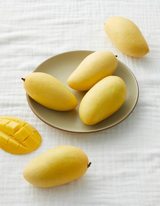 상품-대표-이미지 1