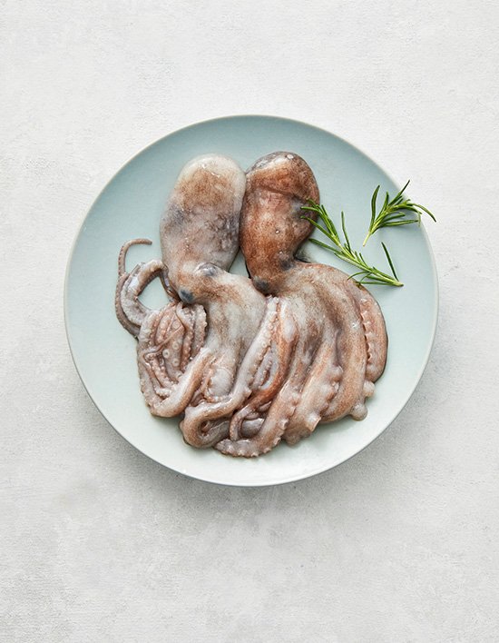 [이호] 낙지 2미 250g (생물)