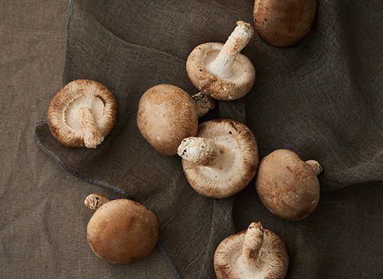 유기농 표고버섯 150g | 컬리