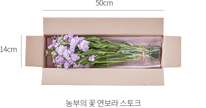 자세히보기 이미지