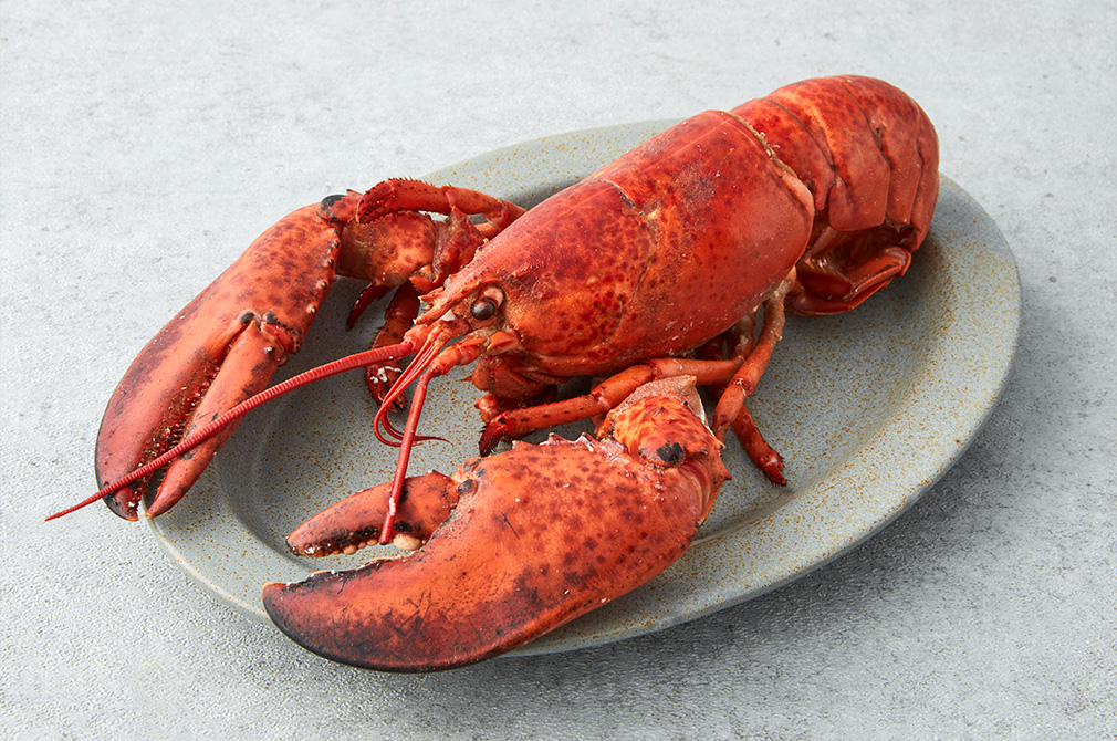 자숙랍스터 400g 내외 - 마켓컬리