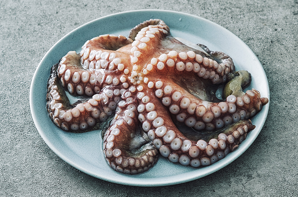 [만선] 꼬마 문어 1마리 350g(생물) - 마켓컬리